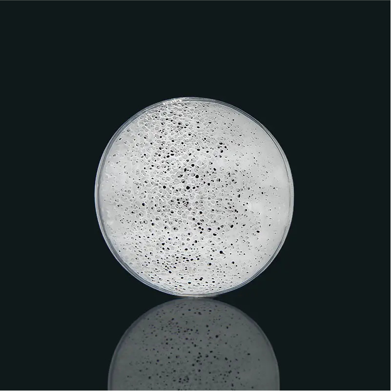 DC Biochip: Giá thể MBBR cho Hệ thống Xử lý Nước thải