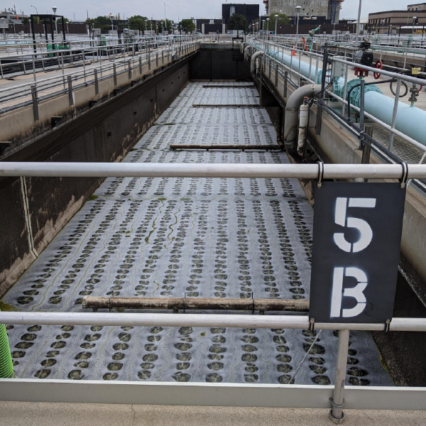 Đĩa phân phối khí tinh EDI, Model: DC12 (Micro)