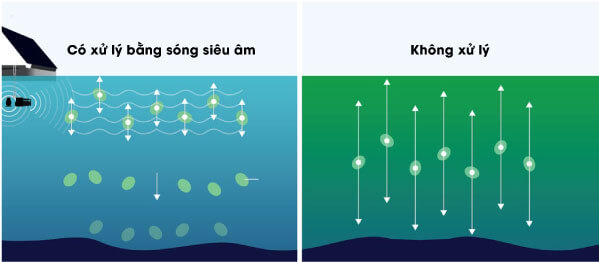 nguyên lý hoạt động của thiết bị diệt tảo bằng sóng siêu âm