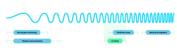 Hình ảnh mô phỏng sóng siêu âm